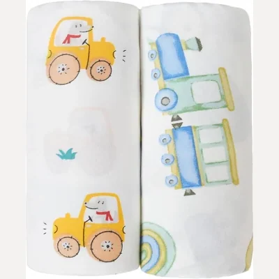 Muslin Swaddle Blankets, Two-Pack by Owlowla, Baby Boy and Dino